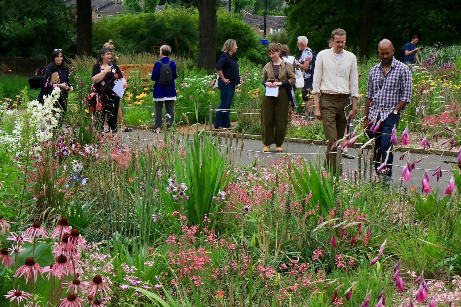 James Hitchmough garden