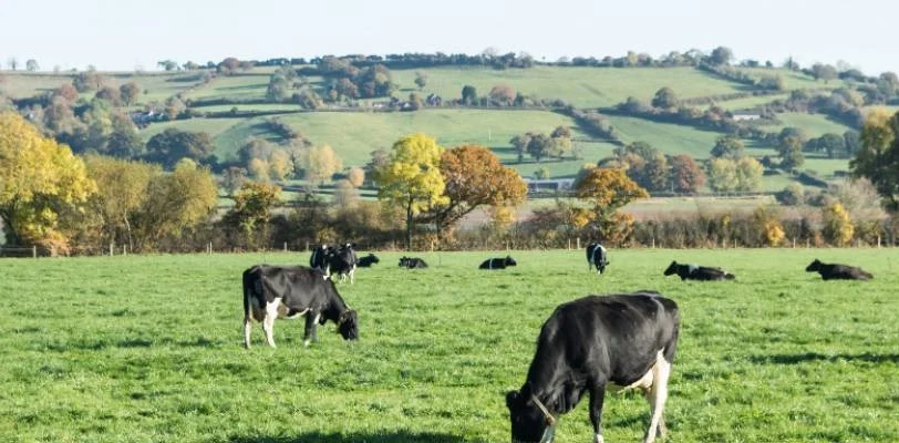 blog-photo-autumn on the farm