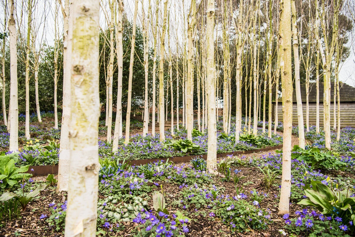 Spring in the Garden