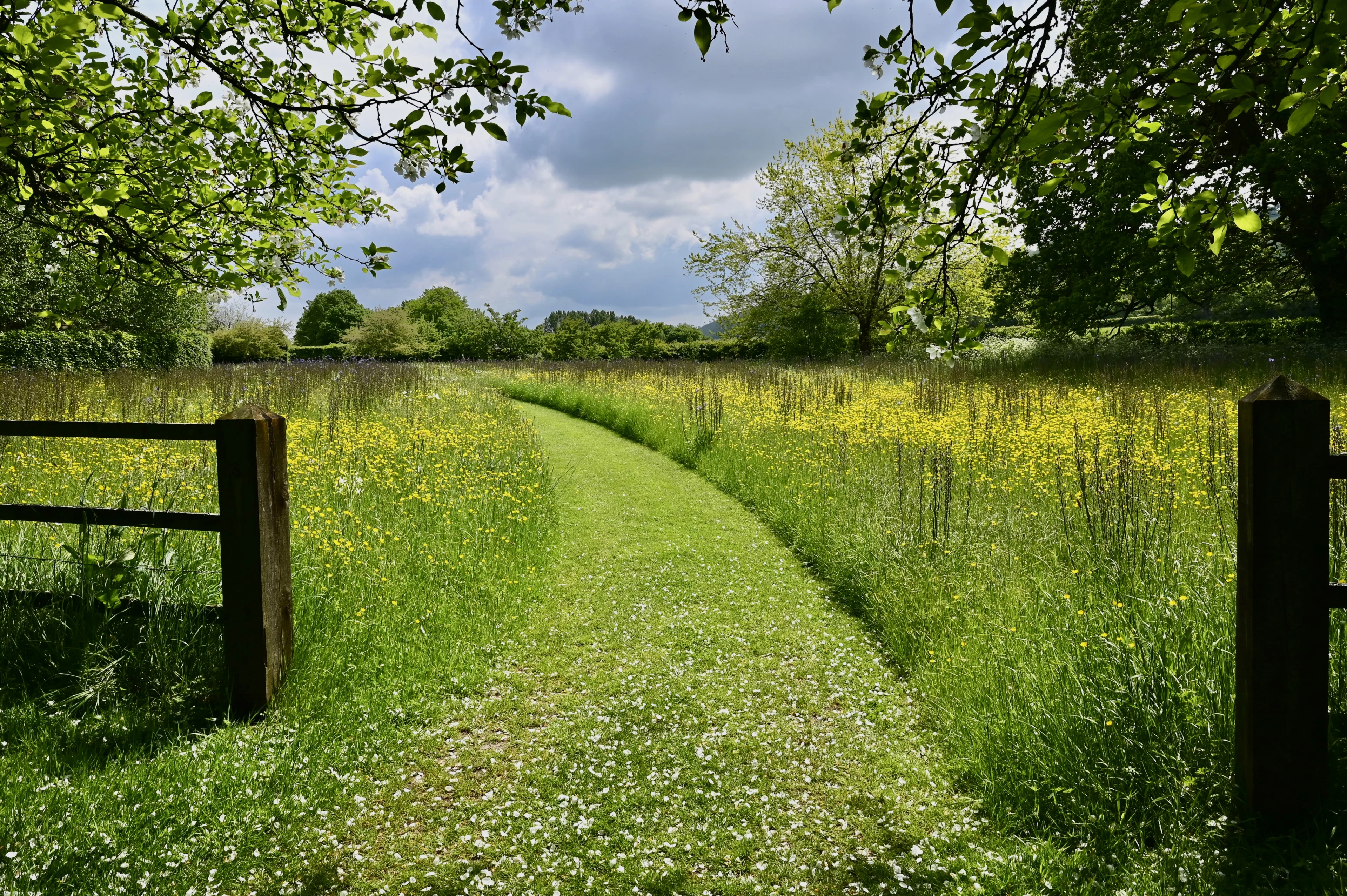 The Organic Garden - The Meadow