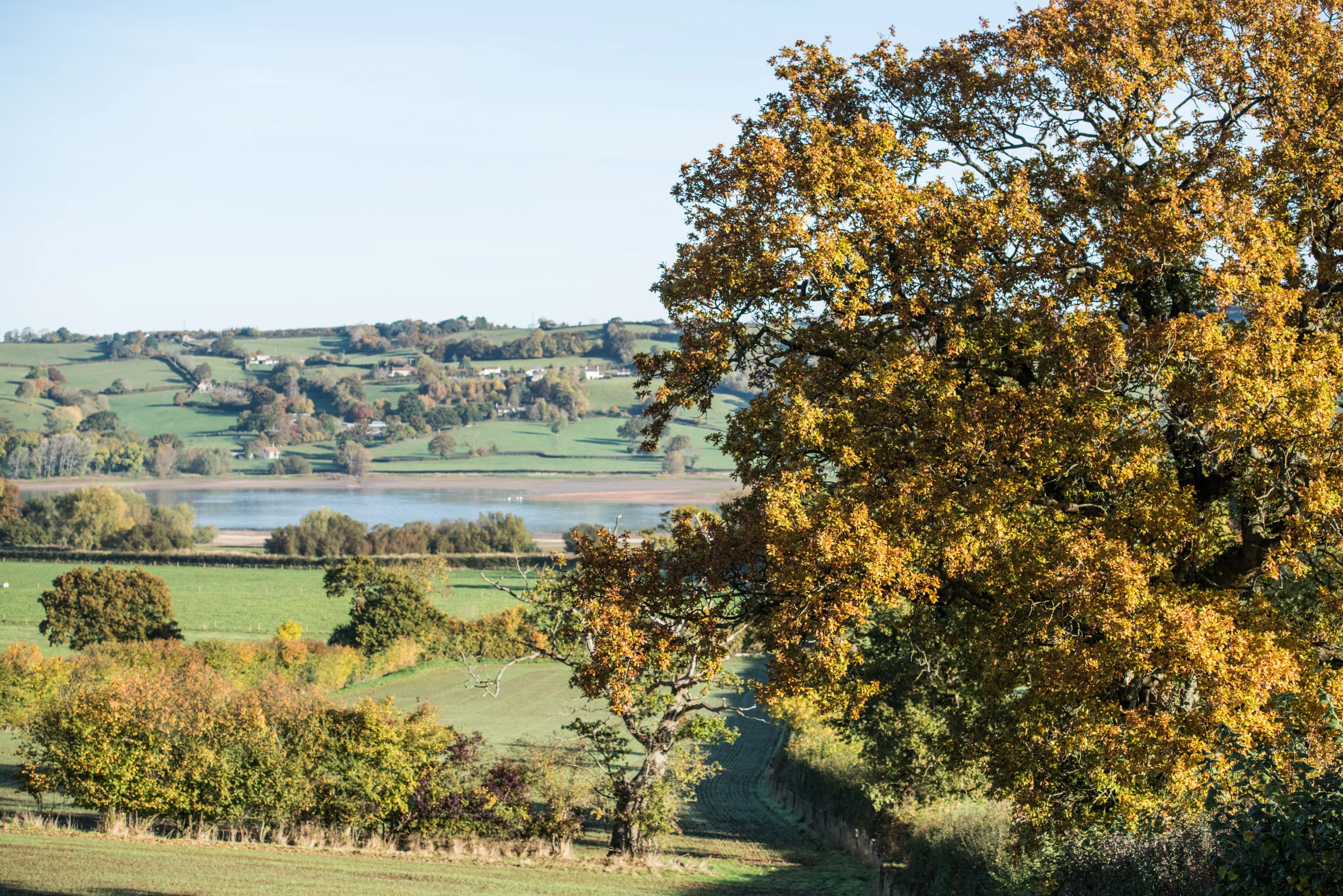 blog-photo-It's Autumn on the farm!-autumn lake view