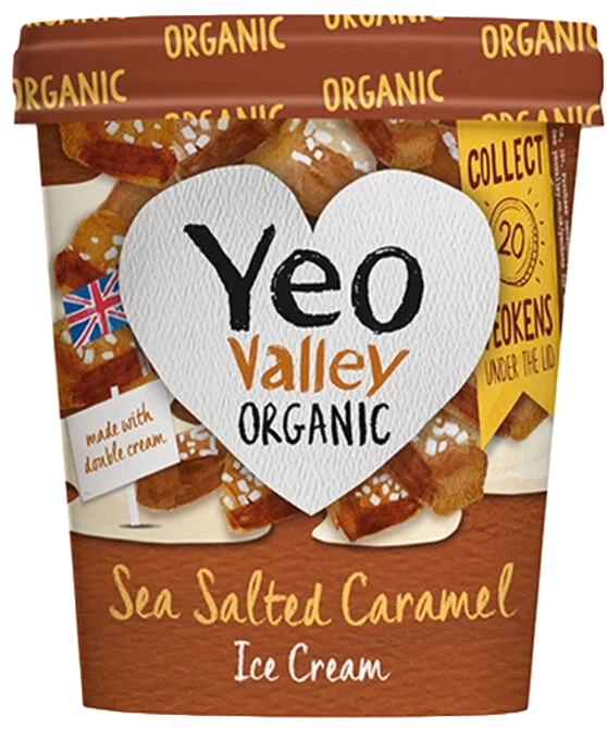 Sea Salted Caramel Ice cream in 500ml size