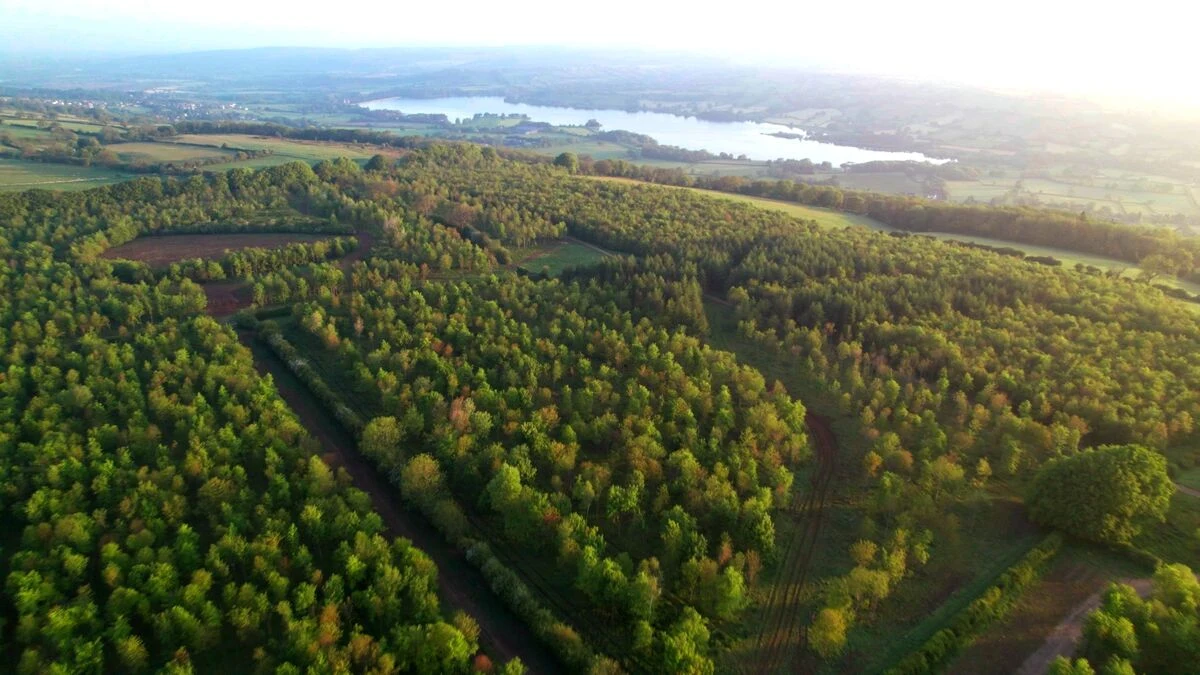 Blog - REGENERATIVE AND ORGANIC, WHAT’S THE DIFFERENCE? - Agroforestry Hazel Manor