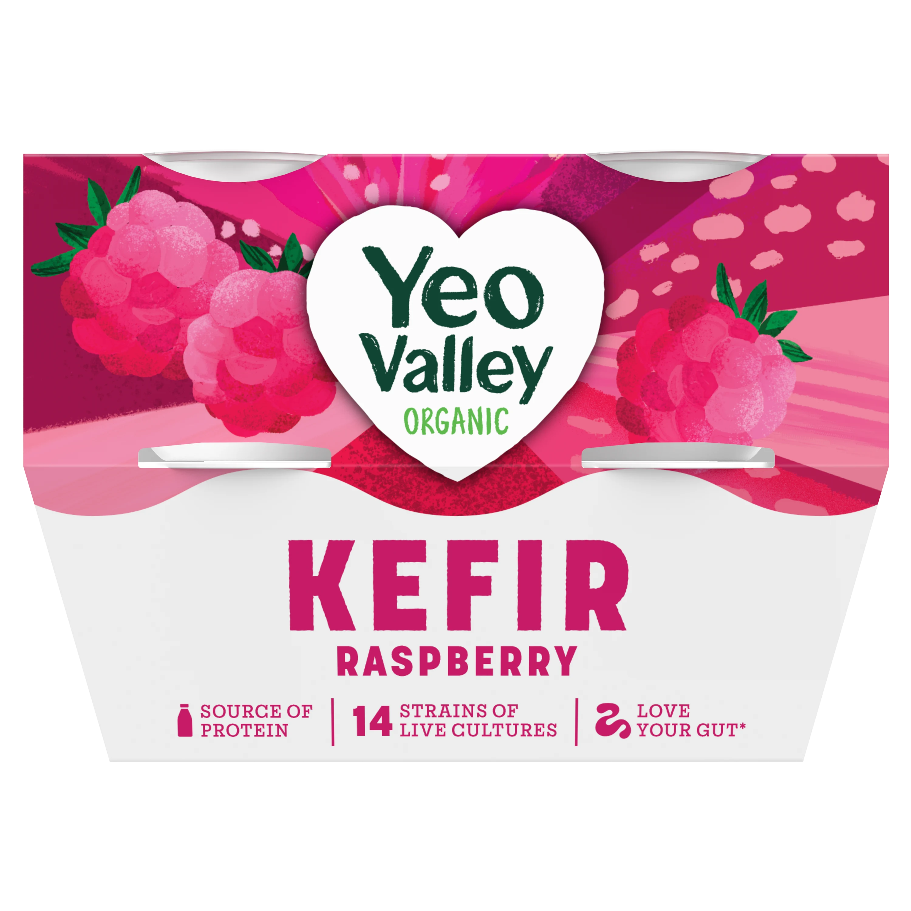 Raspberry Kefir in 4 x 100g size