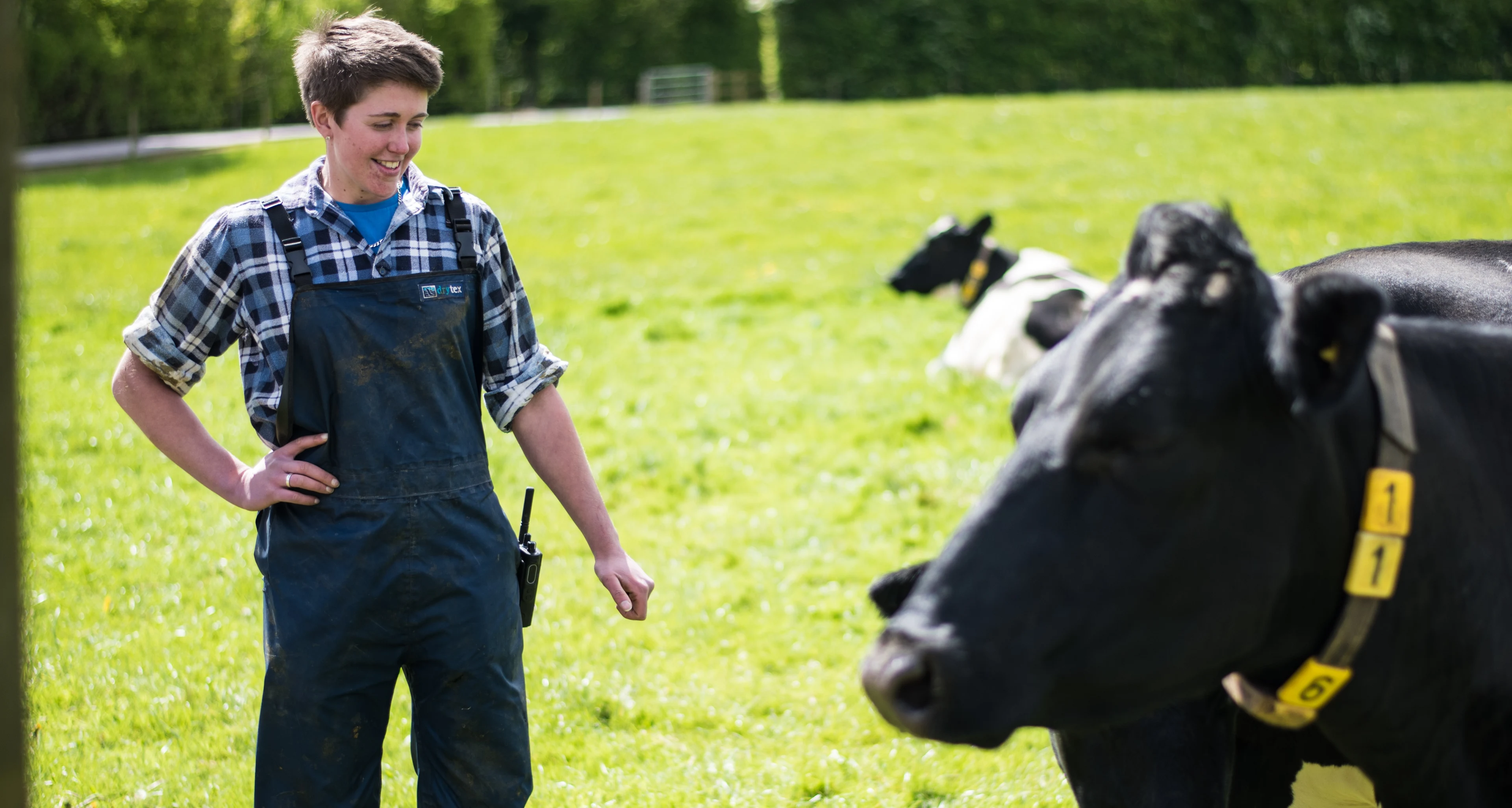 blog-photo-Meet Gabby, one of our Herd Managers…with cows