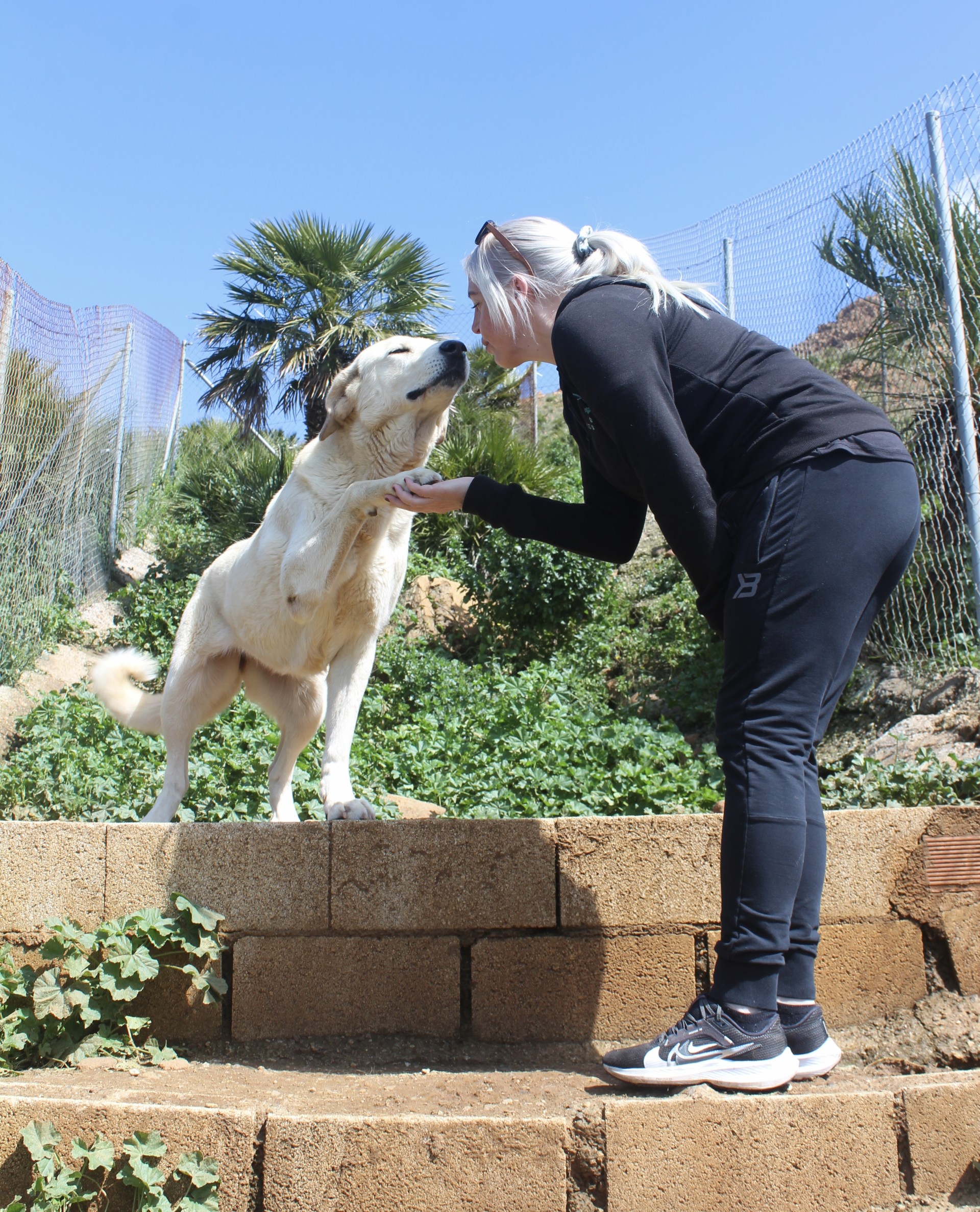 Samatha  - AF25151AD