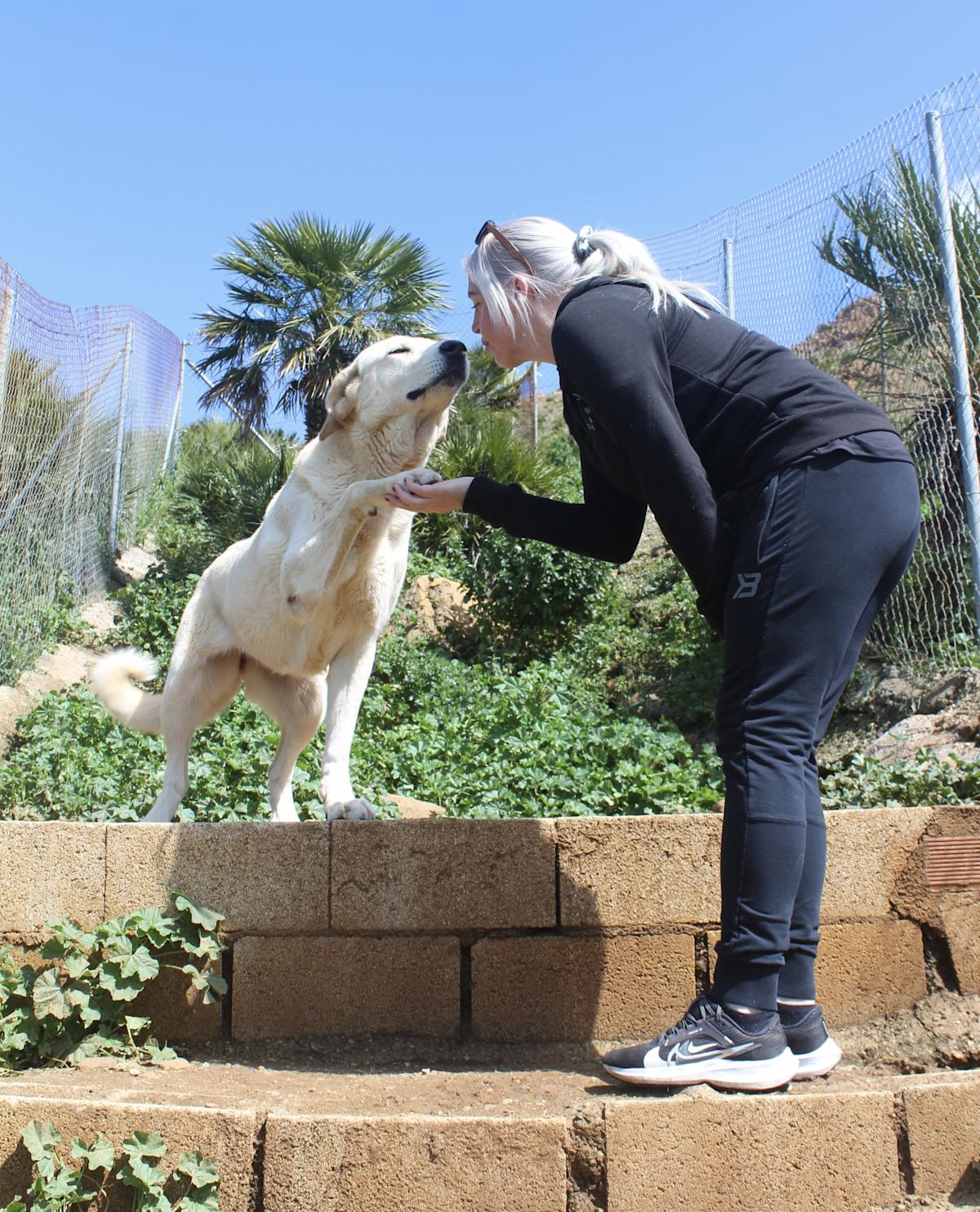 Samatha - AF25151AD Samatha - AF25151AD