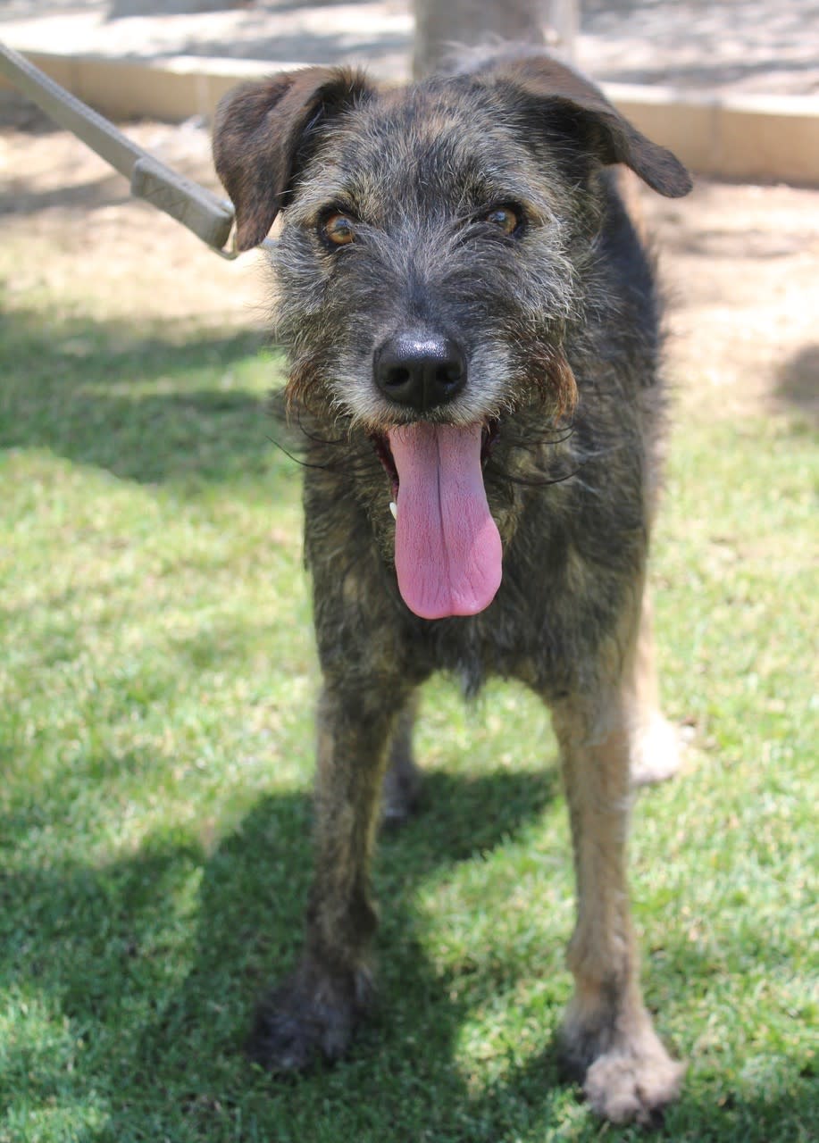 Max - AM2469 Max - AM2469