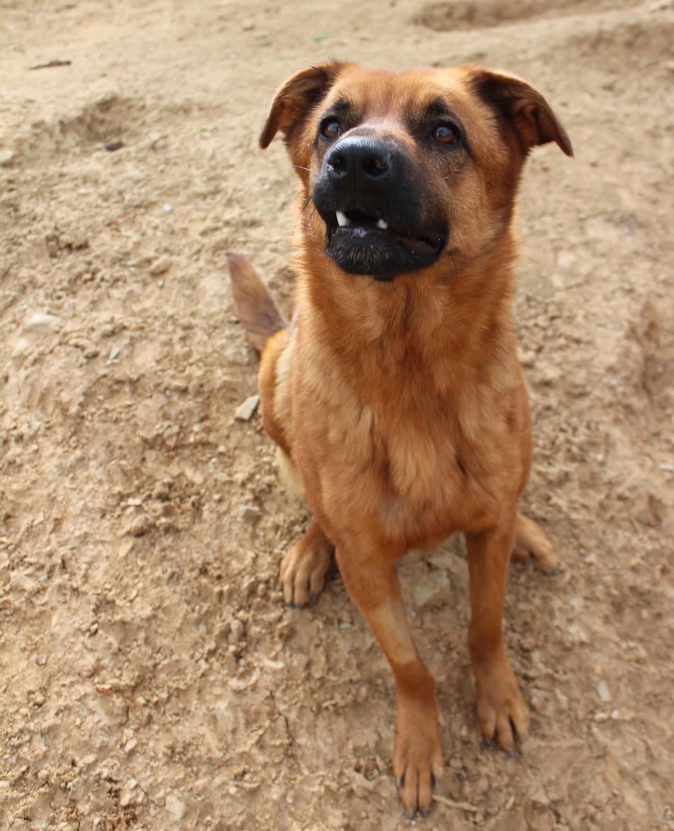 Xena - AF2471PL Xena - AF2471PL