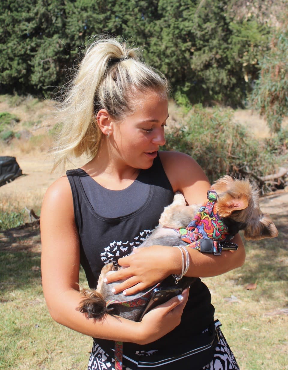 Julio - AM2462RH Julio - AM2462RH