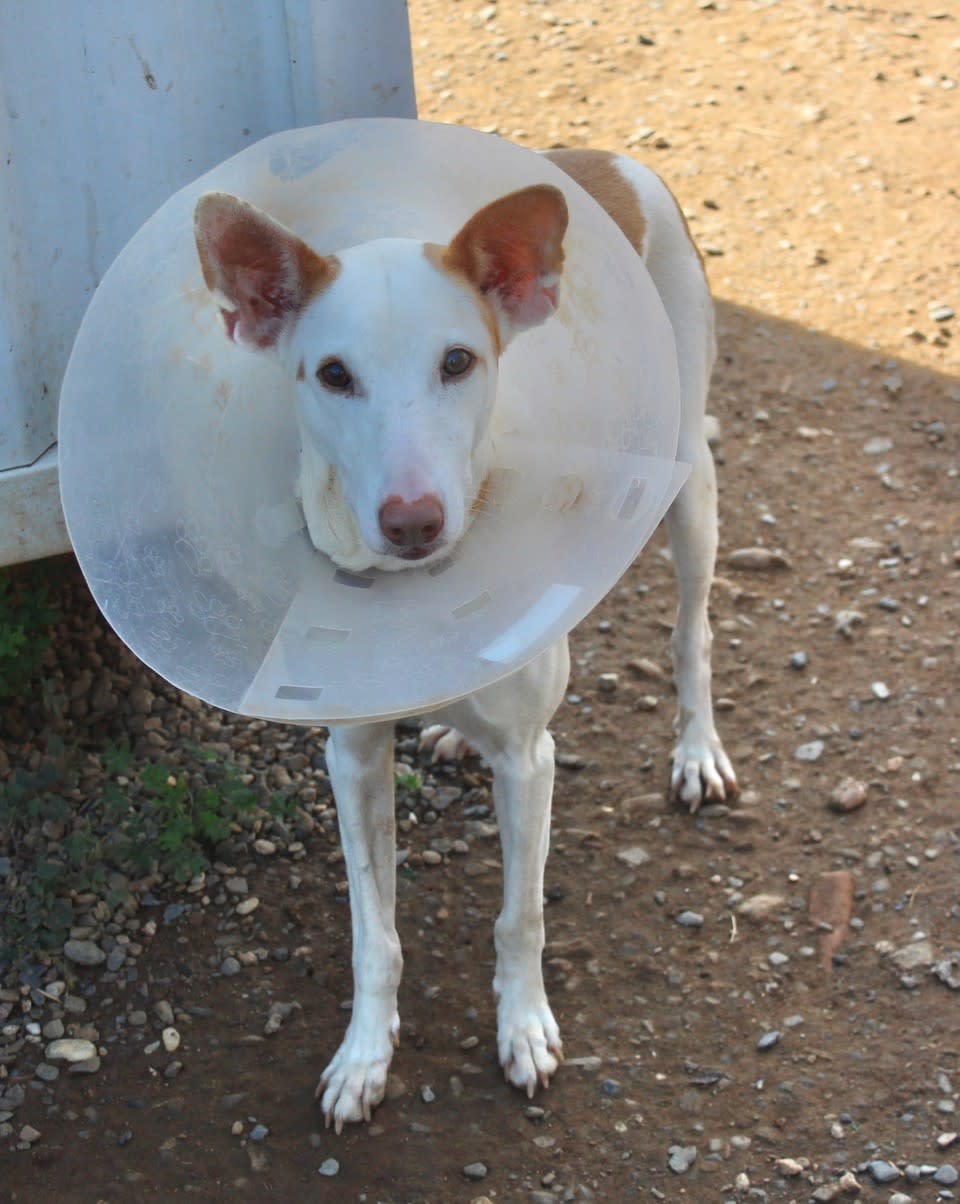 Marla - AF228ML Marla - AF228ML