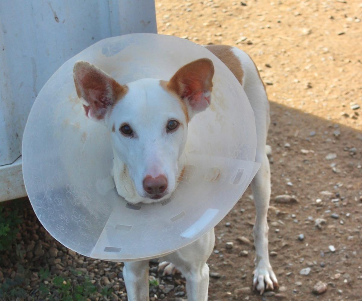 Marla - AF228ML Marla - AF228ML