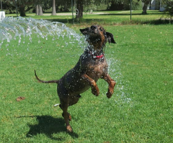 Duque - AM25240LB Duque - AM25240LB