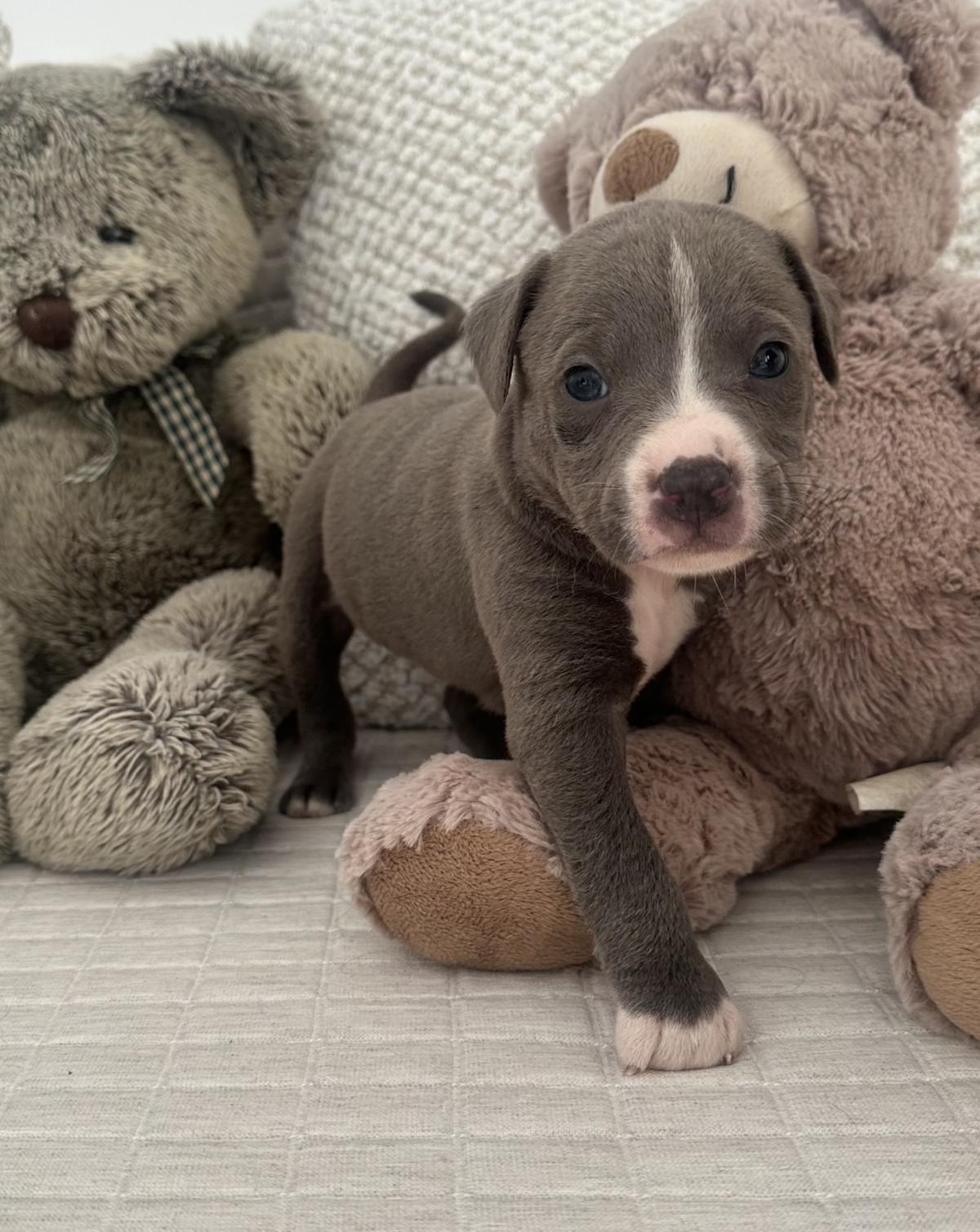 Bryan - PM25123 Bryan - PM25123