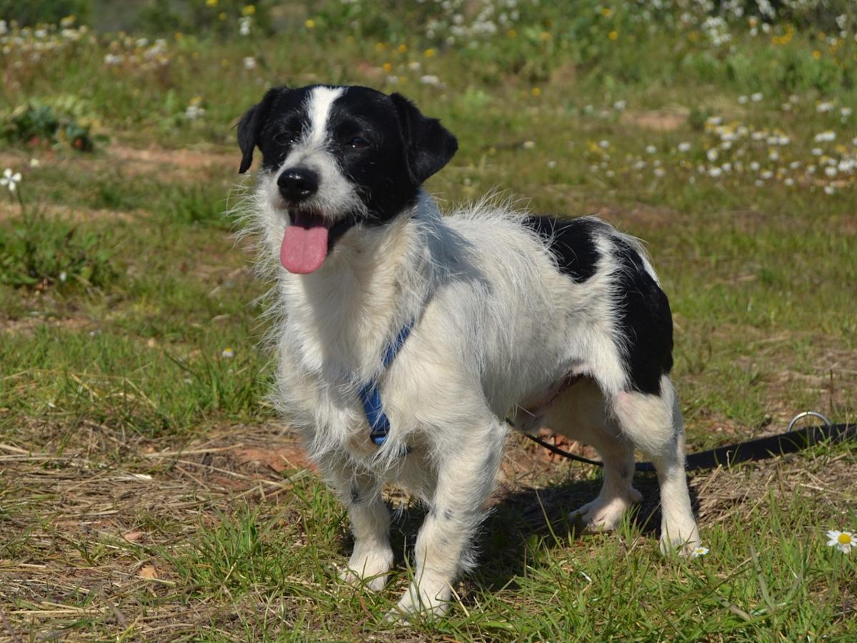 Jim - AM25144LC Jim - AM25144LC