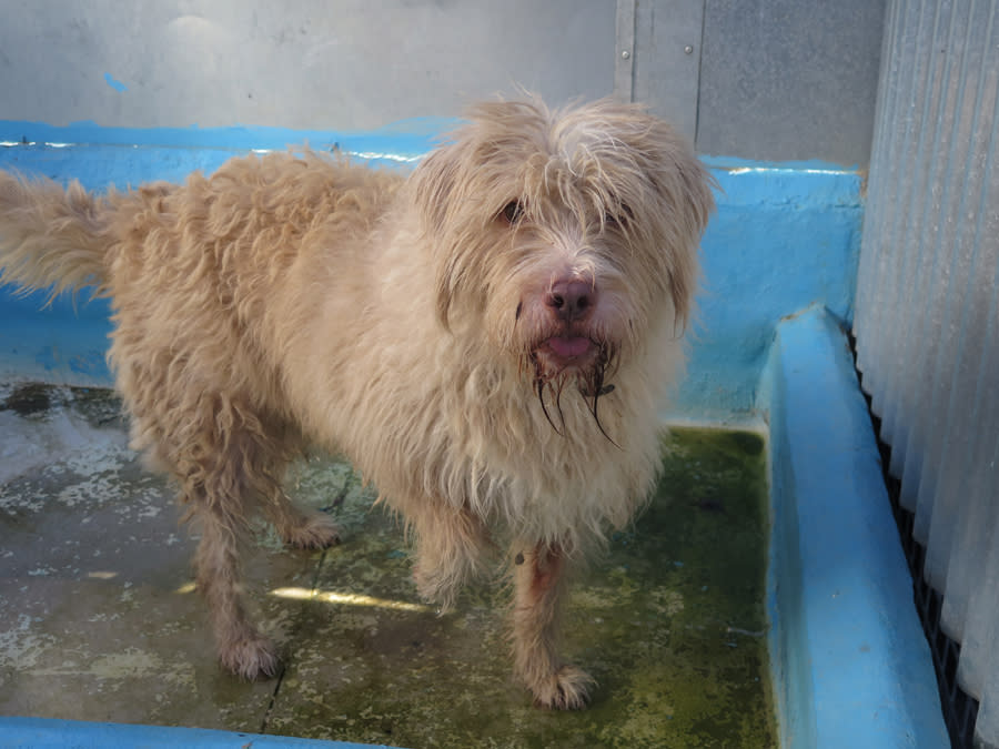 Coby - AF25234LB Coby - AF25234LB