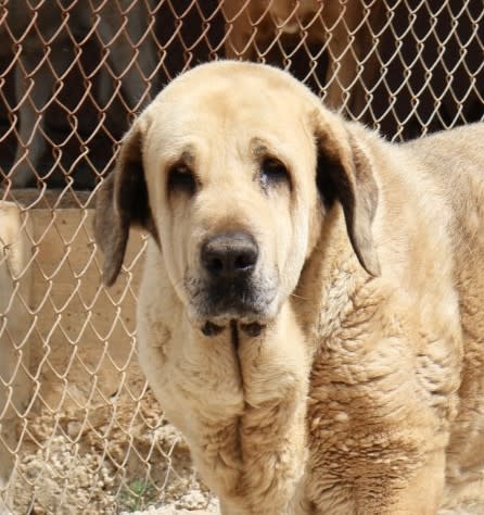 Cloud - AF25168AD Cloud - AF25168AD