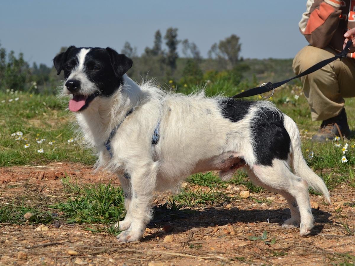 Jim - AM25144LC Jim - AM25144LC