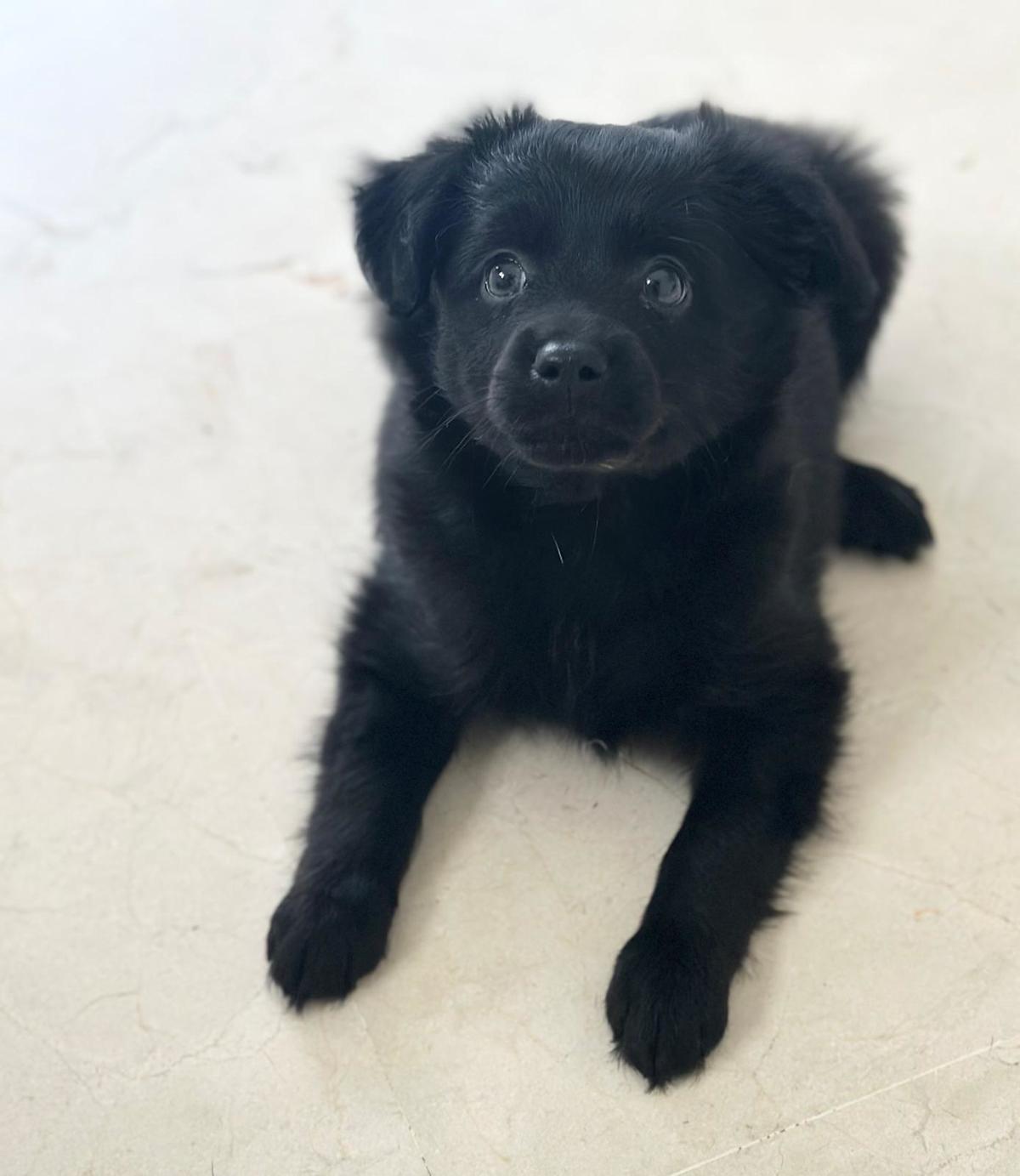 Cuddles - PM246A Cuddles - PM246A