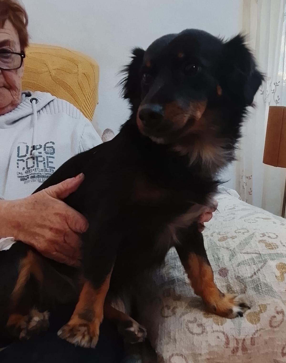 Milly and Pixie - AF26247 Milly and Pixie - AF26247