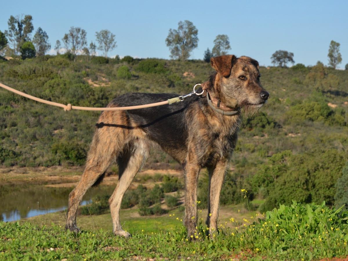 Max - AM2469 Max - AM2469