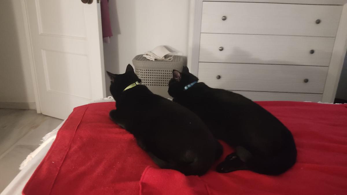 Sooty and Sweep - G26342 Sooty and Sweep - G26342