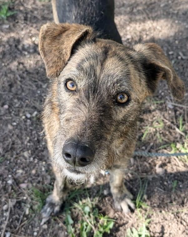 Max - AM2469 Max - AM2469