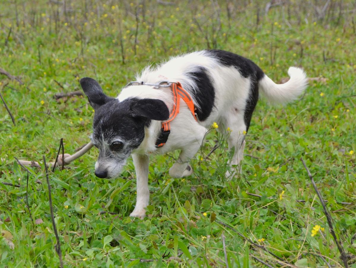 Jan  - AF25143LC Jan  - AF25143LC