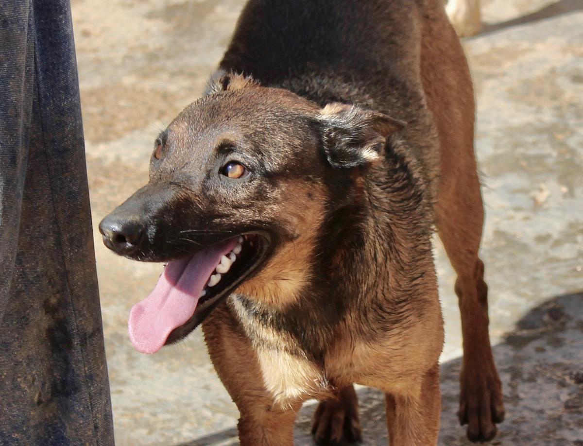 Romeo and Juliet - 25203PL Romeo and Juliet - 25203PL