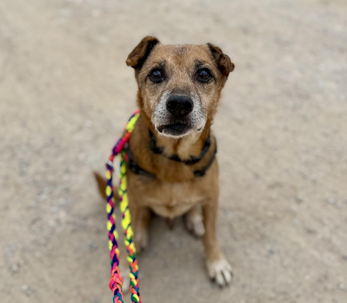 Pure - AM25239LB Pure - AM25239LB