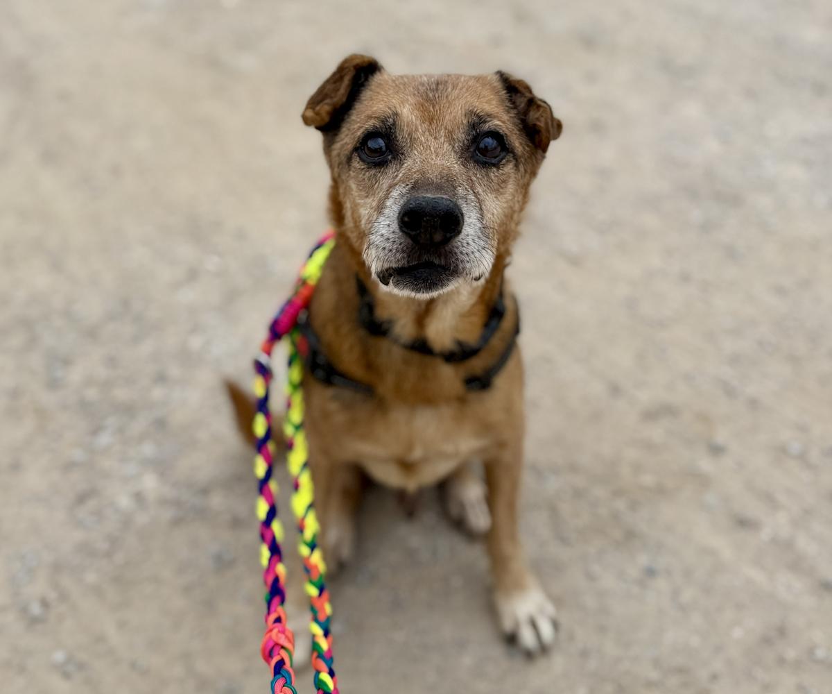 Pure - AM25239LB Pure - AM25239LB