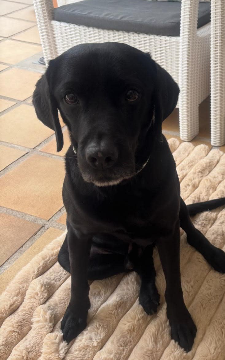 Tronco - AM25230 Tronco - AM25230