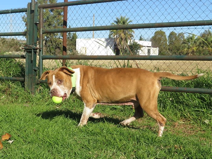 Keny - AM26284LB Keny - AM26284LB