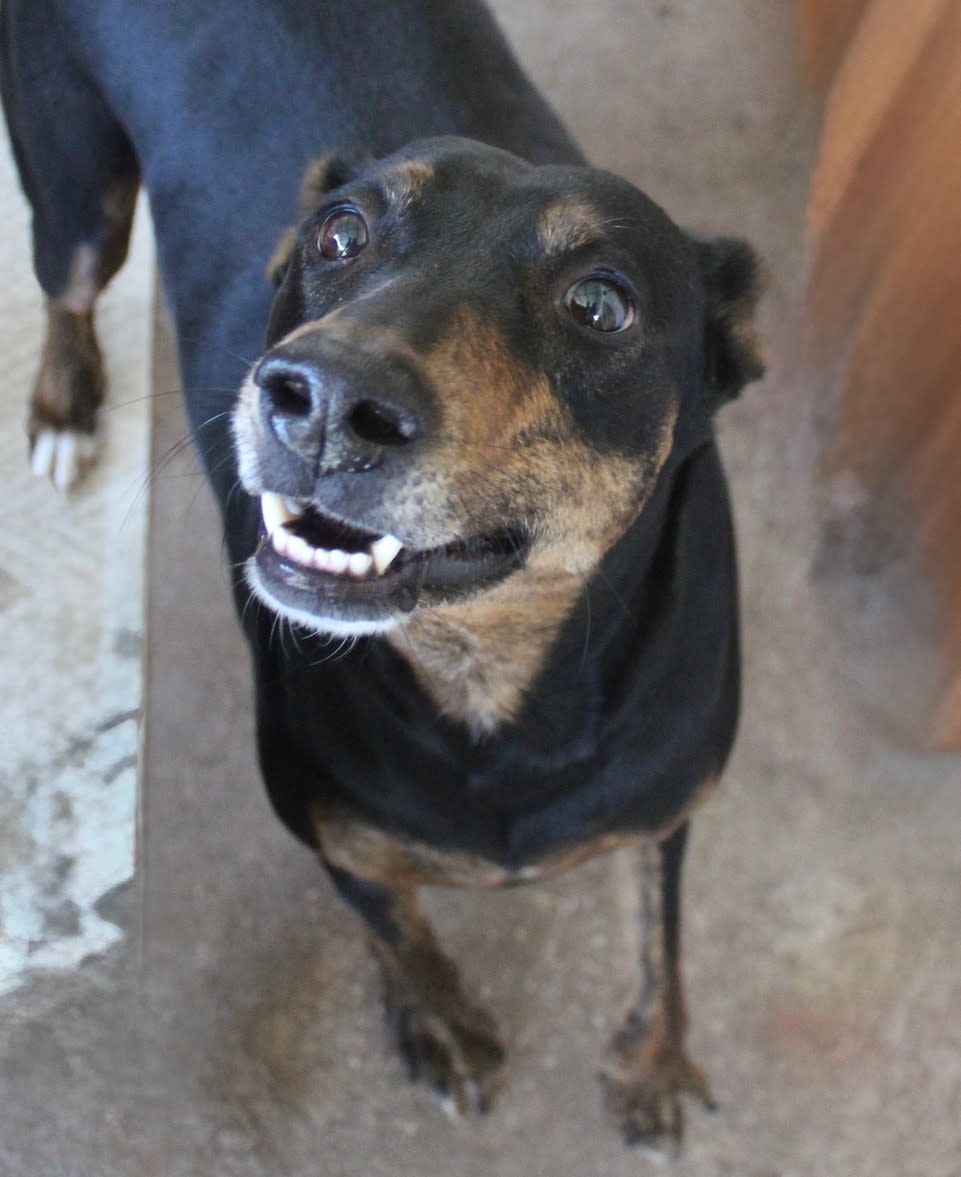 Lady - AF25217ML Lady - AF25217ML