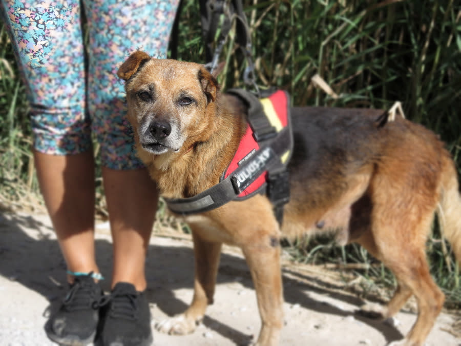 Pure - AM25239LB Pure - AM25239LB