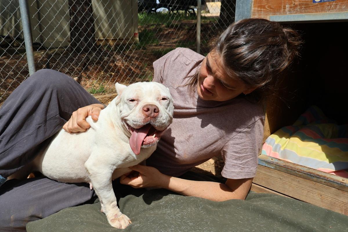 Linda - AF25158 Linda - AF25158