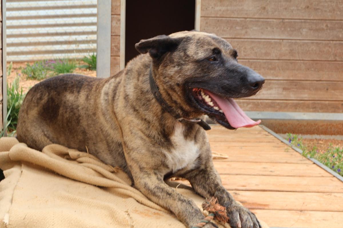 Israel - AM25225 Israel - AM25225