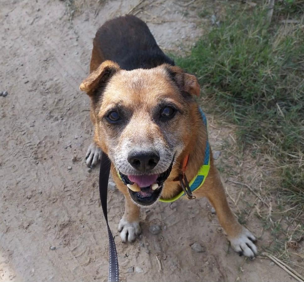 Pure - AM25239LB Pure - AM25239LB