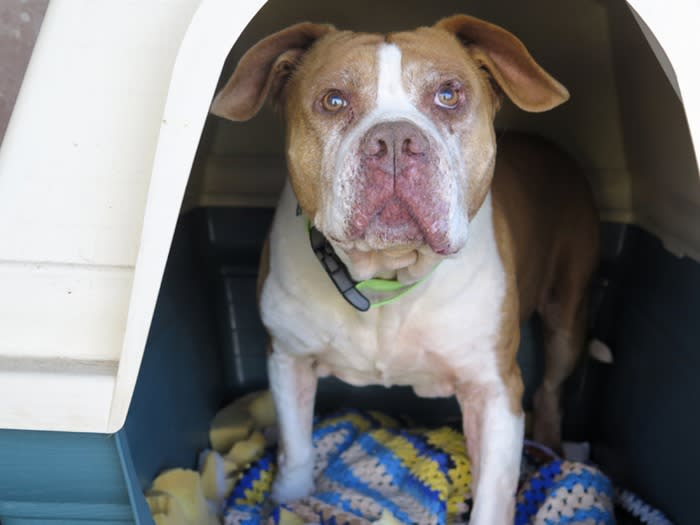 Keny - AM26284LB Keny - AM26284LB