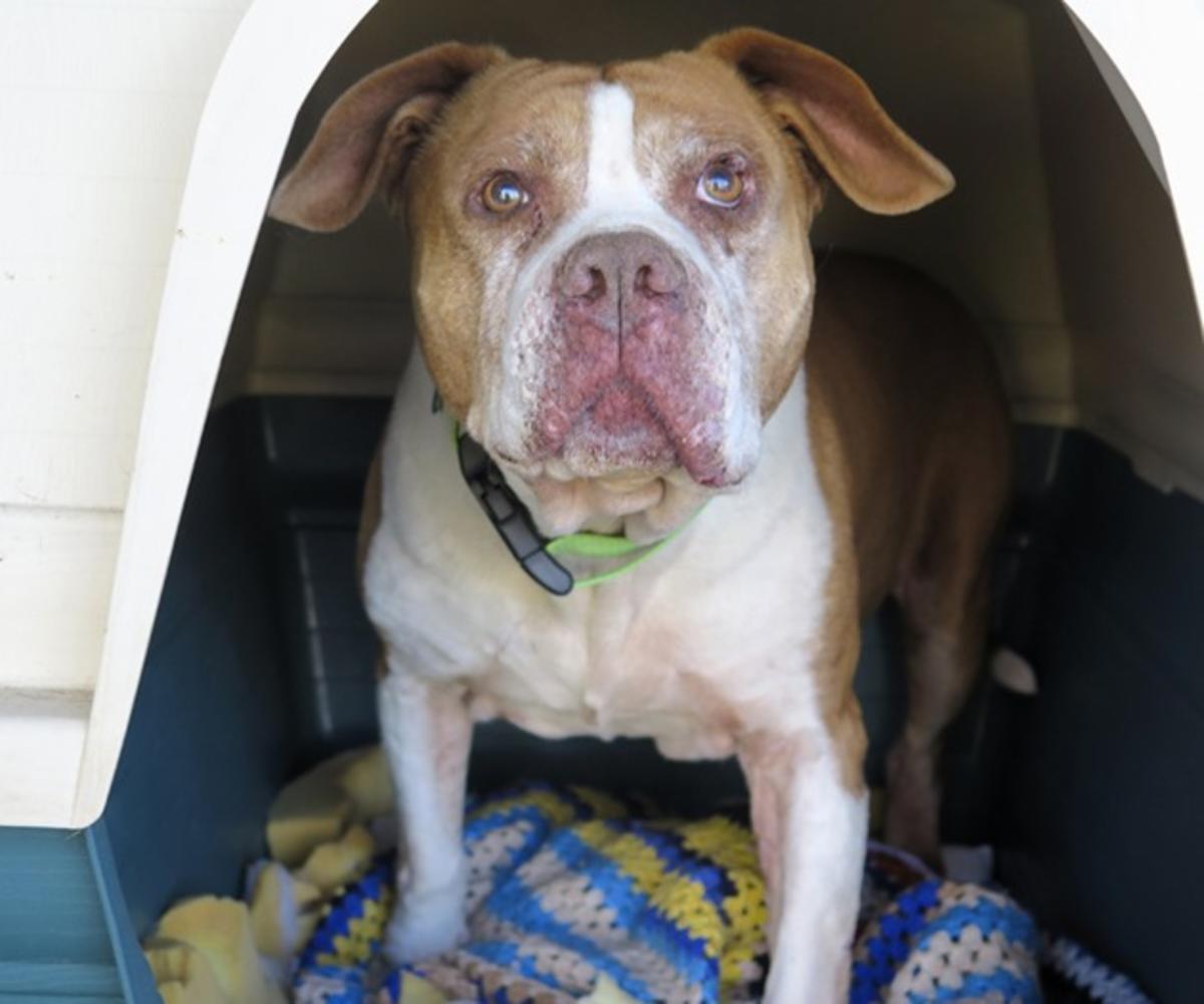 Keny - AM26284LB Keny - AM26284LB