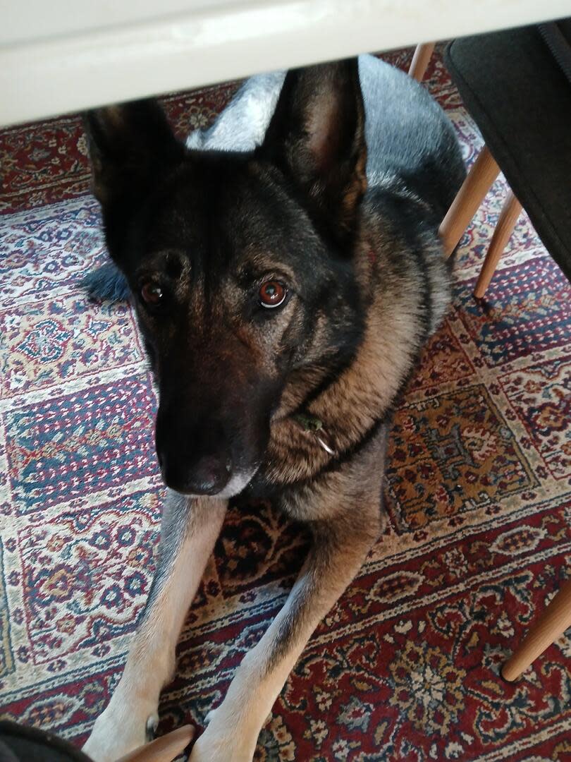 Loba - AF26290 Loba - AF26290
