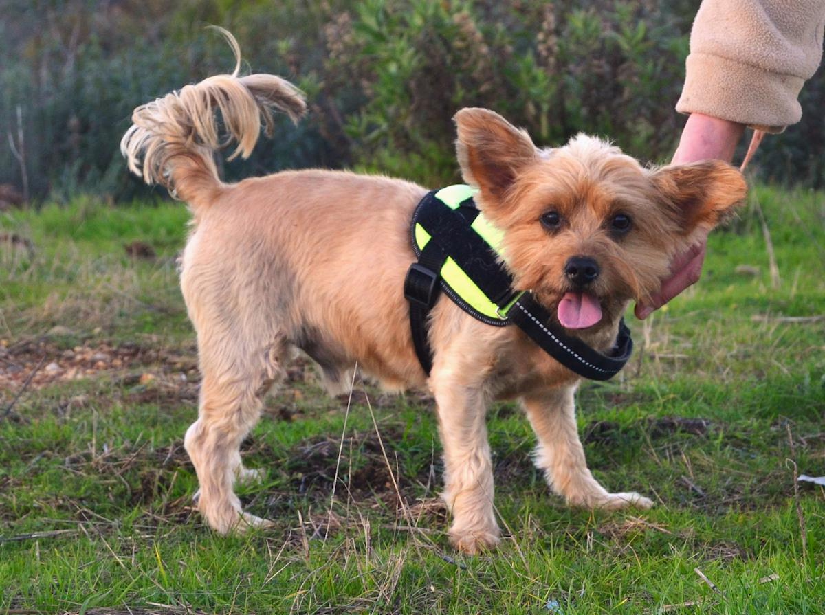 Miki - AM26243LC Miki - AM26243LC