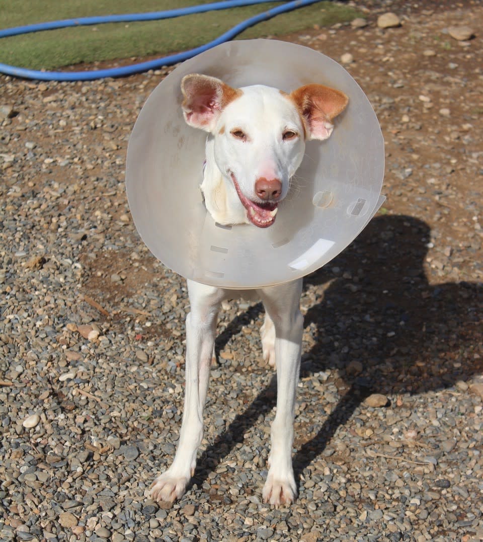 Marla - AF228ML Marla - AF228ML