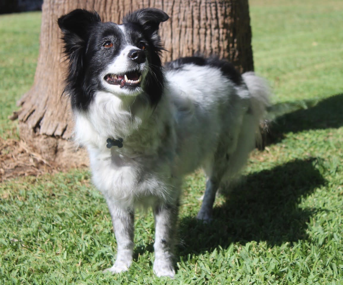 Berta - AF2494 Berta - AF2494