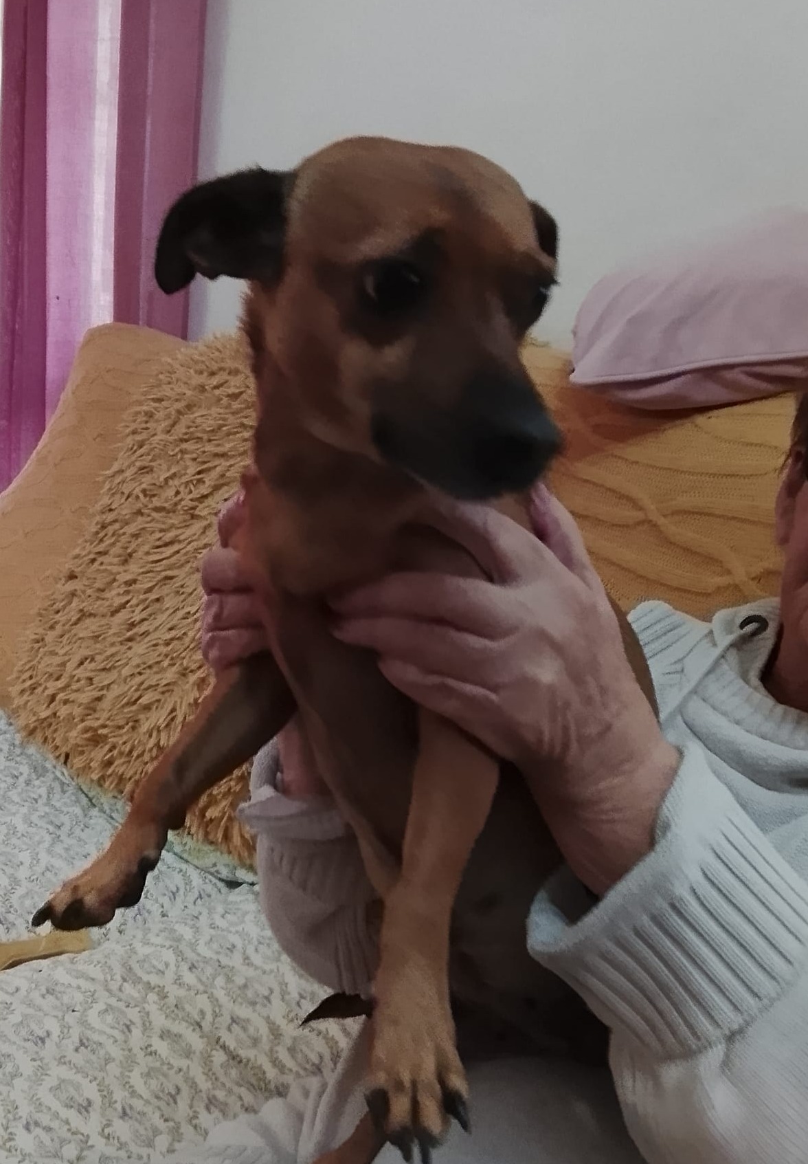 Milly and Pixie - AF26247