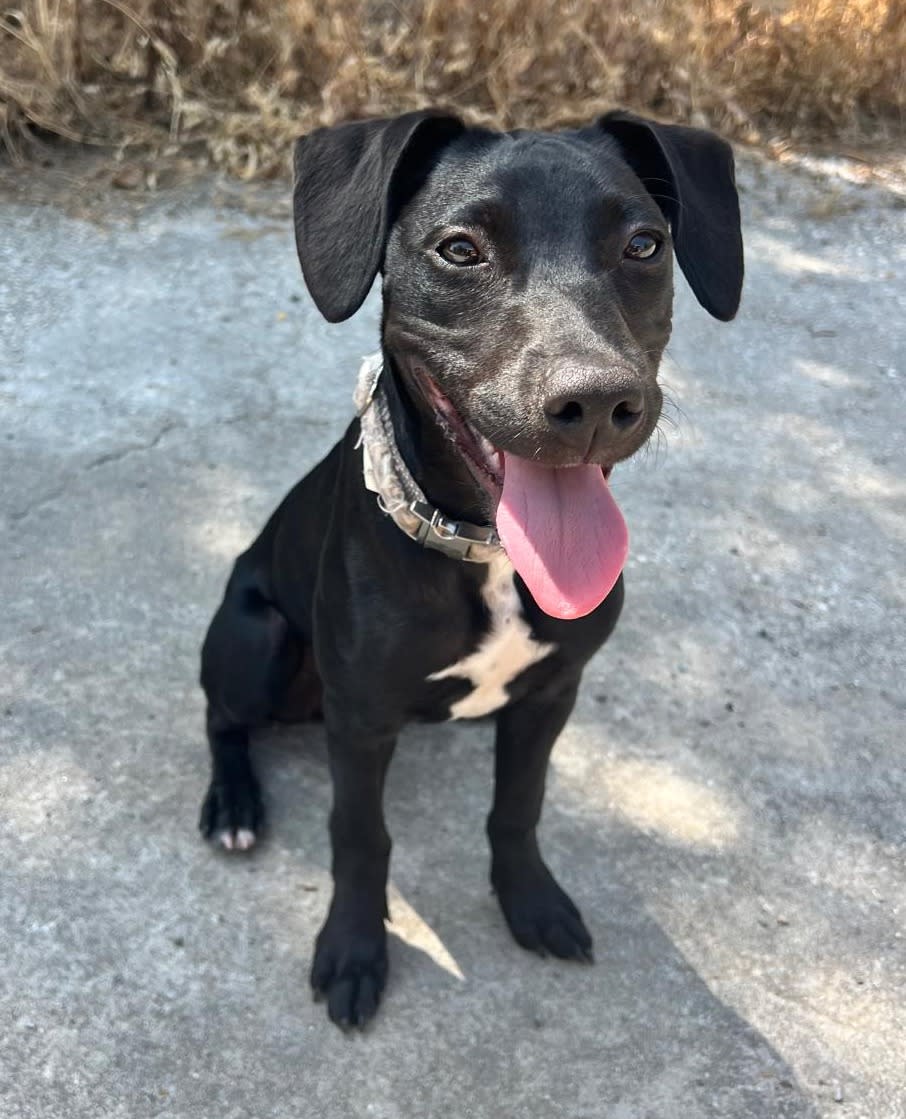 Jet - PF25120 Jet - PF25120