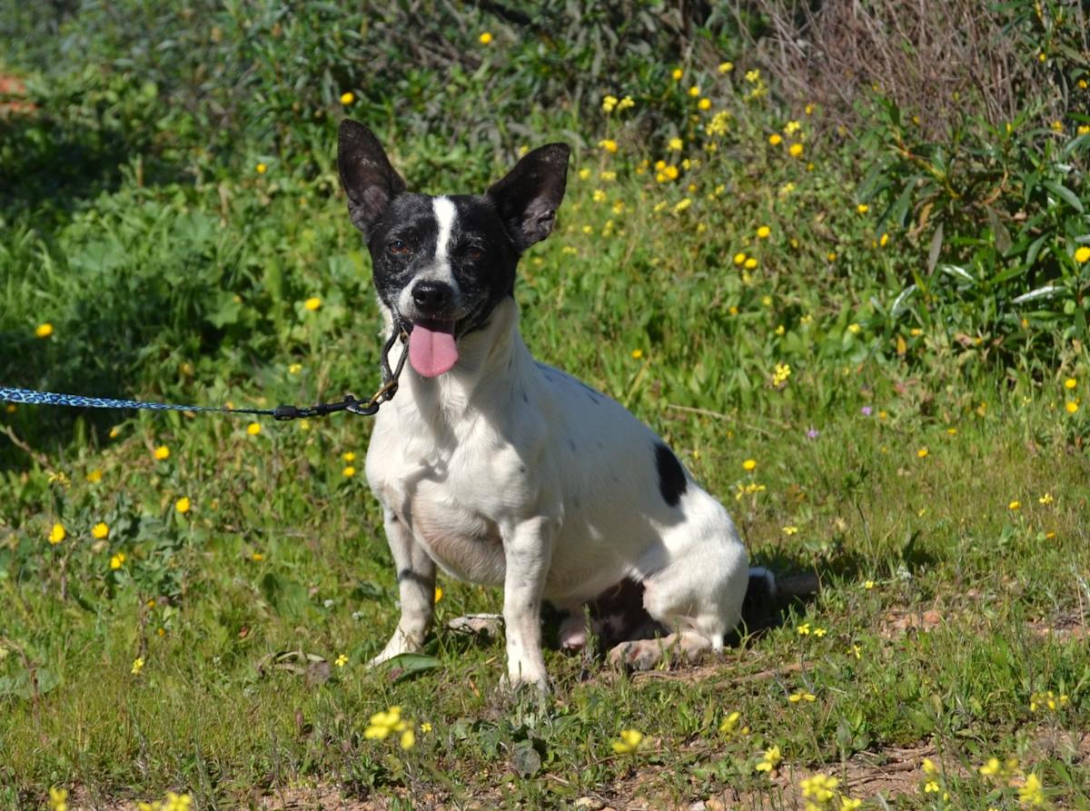 Gabe - AM25142LC Gabe - AM25142LC