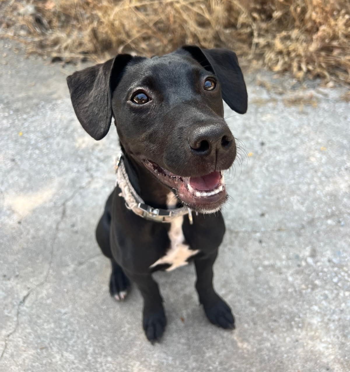 Jet - PF25120 Jet - PF25120