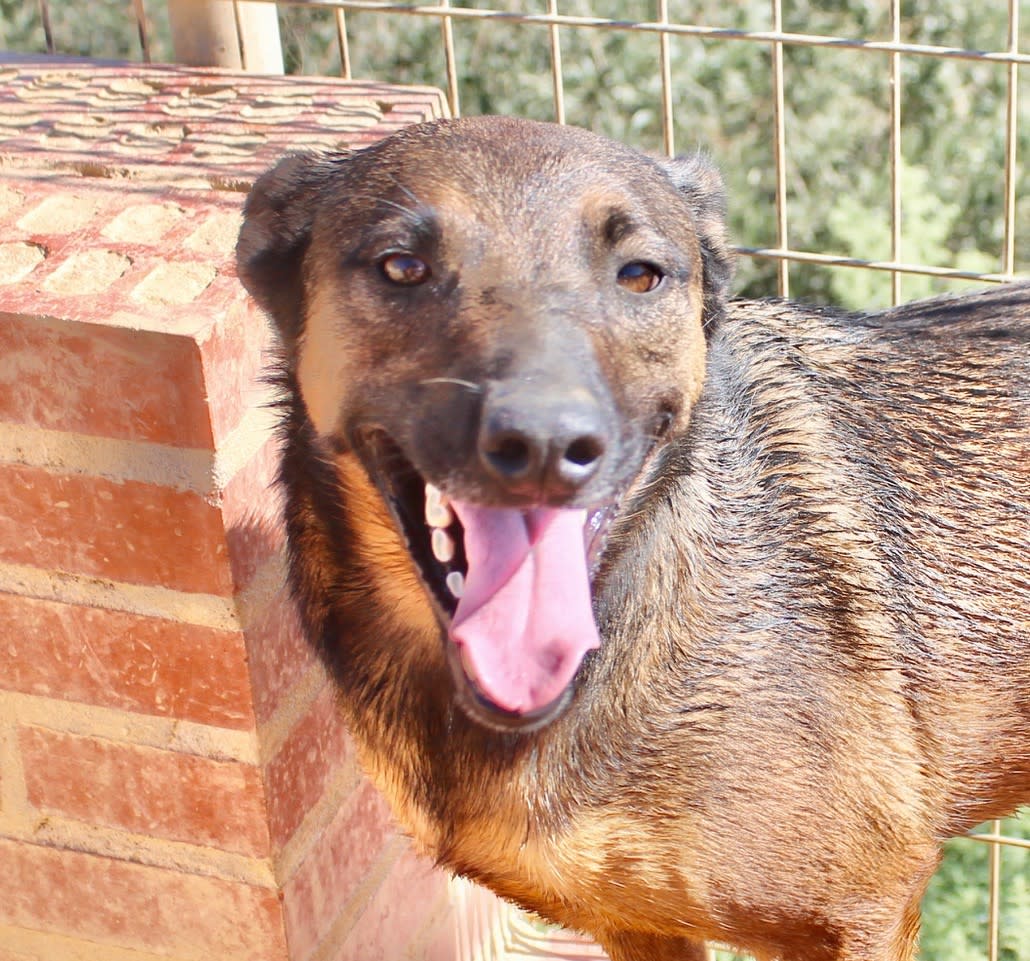 Romeo and Juliet - 25203PL Romeo and Juliet - 25203PL