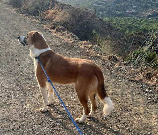 Karina - AF26254AD Karina - AF26254AD